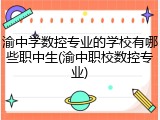 渝中学数控专业的学校有哪些职中生(渝中职校数控专业)