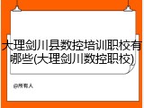 大理剑川县数控培训职校有哪些(大理剑川数控职校)