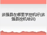 武强县在哪里学挖机好(武强县挖机培训)