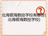 北海银海数控学校有哪些(北海银海数控学校)