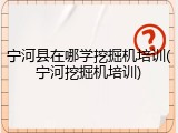 宁河县在哪学挖掘机培训(宁河挖掘机培训)