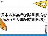 汉中西乡县单招培训机构哪家好(西乡单招培训优选)