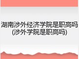 湖南涉外经济学院是职高吗(涉外学院是职高吗)