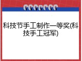 科技节手工制作一等奖(科技手工冠军)