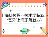 上海科技职业技术学院就业情况(上海职院就业)