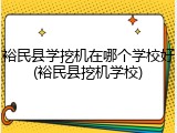 裕民县学挖机在哪个学校好(裕民县挖机学校)