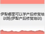 伊犁哪里可以学产后修复培训班(伊犁产后修复培训)
