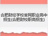 合肥财经学校官网职业高中招生(合肥财校职高招生)