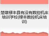 楚雄禄丰县有没有数控机床培训学校(禄丰数控机床培训)