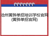 沧州黄骅单招培训学校官网(黄骅单招官网)