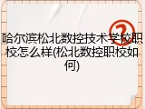 哈尔滨松北数控技术学校职校怎么样(松北数控职校如何)