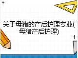 关于母猪的产后护理专业(母猪产后护理)