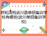 呼和浩特武川县单招集训学校有哪些(武川单招集训学校)
