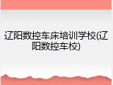 辽阳数控车床培训学校(辽阳数控车校)