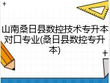 山南桑日县数控技术专升本对口专业(桑日县数控专升本)