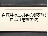 自流井挖掘机学校哪家好(自流井挖机学校)