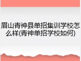 眉山青神县单招集训学校怎么样(青神单招学校如何)