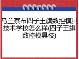 乌兰察布四子王旗数控模具技术学校怎么样(四子王旗数控模具校)