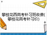 攀枝花西高考补习班收费(攀枝花高考补习价)
