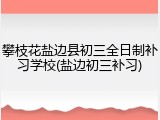 攀枝花盐边县初三全日制补习学校(盐边初三补习)