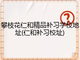 攀枝花仁和精品补习学校地址(仁和补习校址)