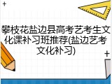 攀枝花盐边县高考艺考生文化课补习班推荐(盐边艺考文化补习)
