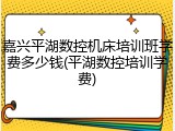 嘉兴平湖数控机床培训班学费多少钱(平湖数控培训学费)