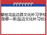 攀枝花盐边县文化补习学校是哪一家(盐边文化补习校)