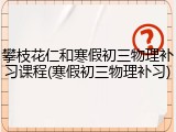 攀枝花仁和寒假初三物理补习课程(寒假初三物理补习)