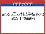 武汉市工业科技学校多大(武汉工校面积)