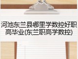 河池东兰县哪里学数控好职高毕业(东兰职高学数控)