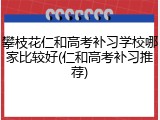 攀枝花仁和高考补习学校哪家比较好(仁和高考补习推荐)