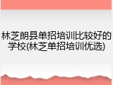 林芝朗县单招培训比较好的学校(林芝单招培训优选)