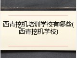 西青挖机培训学校有哪些(西青挖机学校)