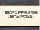 母猪的产后护理就业前景(母猪产后护理就业)