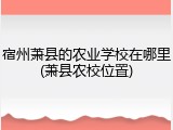 宿州萧县的农业学校在哪里(萧县农校位置)
