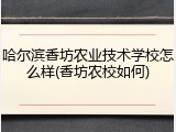 哈尔滨香坊农业技术学校怎么样(香坊农校如何)