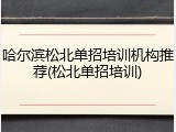 哈尔滨松北单招培训机构推荐(松北单招培训)