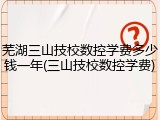 芜湖三山技校数控学费多少钱一年(三山技校数控学费)