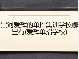 黑河爱辉的单招集训学校哪里有(爱辉单招学校)