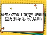 科尔沁左翼中旗挖机培训哪里有(科尔沁挖机培训)