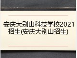 安庆大别山科技学校2021招生(安庆大别山招生)