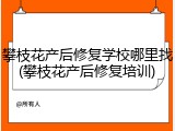 攀枝花产后修复学校哪里找(攀枝花产后修复培训)
