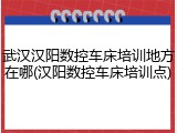 武汉汉阳数控车床培训地方在哪(汉阳数控车床培训点)