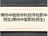 郴州中智软件科技学校职中招生(郴州中智职校招生)