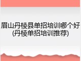 眉山丹棱县单招培训哪个好(丹棱单招培训推荐)