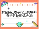 紫金县在哪学挖掘机培训(紫金县挖掘机培训)