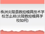 株洲炎陵县数控模具技术学校怎么样(炎陵数控模具学校如何)