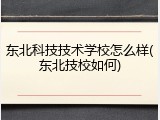 东北科技技术学校怎么样(东北技校如何)