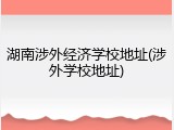 湖南涉外经济学校地址(涉外学校地址)